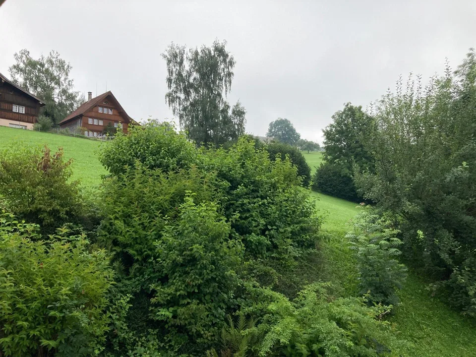 helle Wohnung an ruhiger Lage – Foto 10 von 11