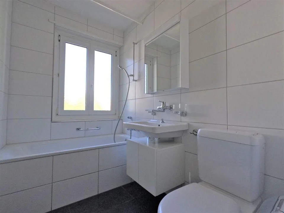 verliebtinschaffhausen - wundervolle Wohnung mit neuer Küche, neuem... – Foto 3 von 10