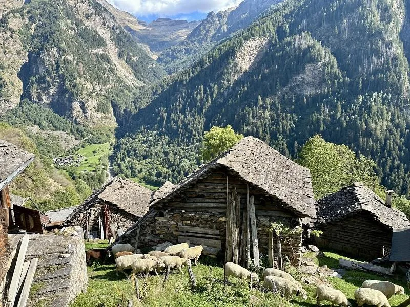 3-Zimmer-Bergrustico zum Ausbauen, sehr ruhige, sonnige Aussichtsla... – Foto 9 von 18
