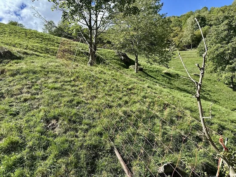 3-Zimmer-Bergrustico zum Ausbauen, sehr ruhige, sonnige Aussichtsla... – Foto 14 von 18
