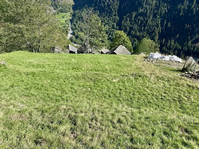 3-Zimmer-Bergrustico zum Ausbauen, sehr ruhige, sonnige Aussichtsla... – Foto 15 von 18