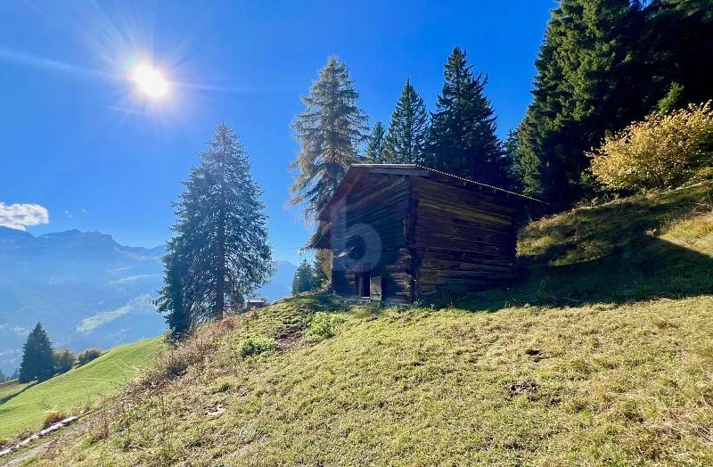 Maiensäss idilliaco sopra Castiel – foto 2 di 6