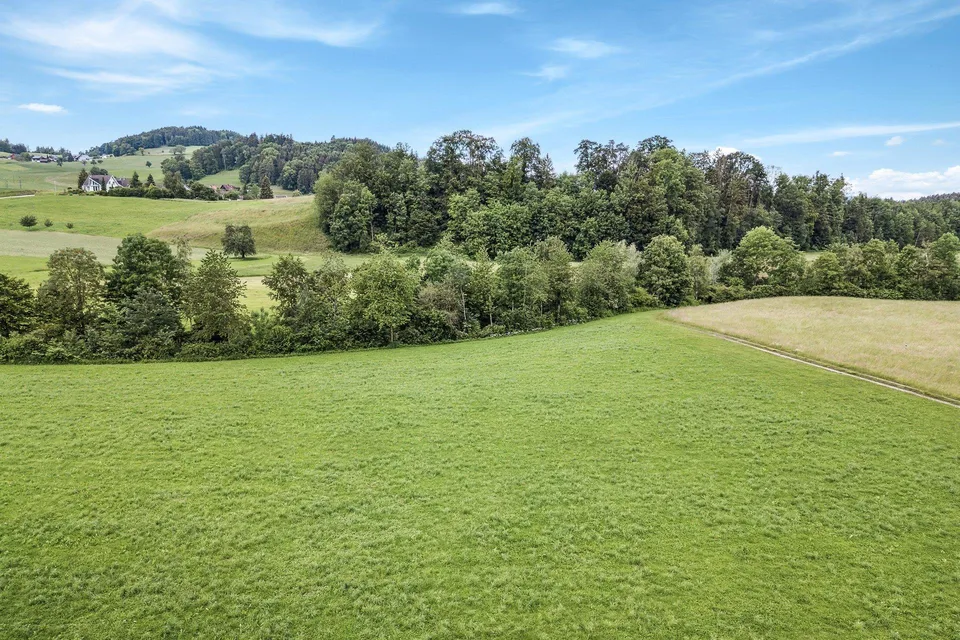 Dem Grünen ein Stück näher – photo 3 sur 5