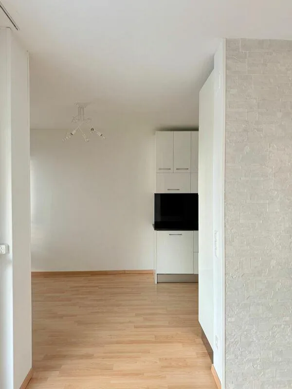 3,5 locaux Coldrerio – photo 3 sur 11