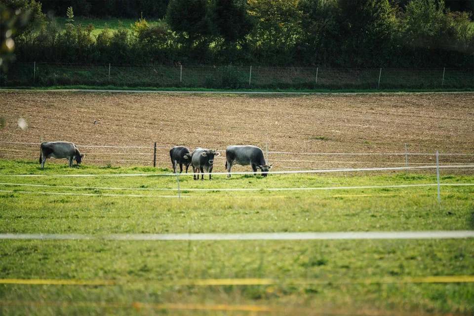 Mehr als ein Bauernhaus - Ein Leben auf dem Land – Foto 6 von 28