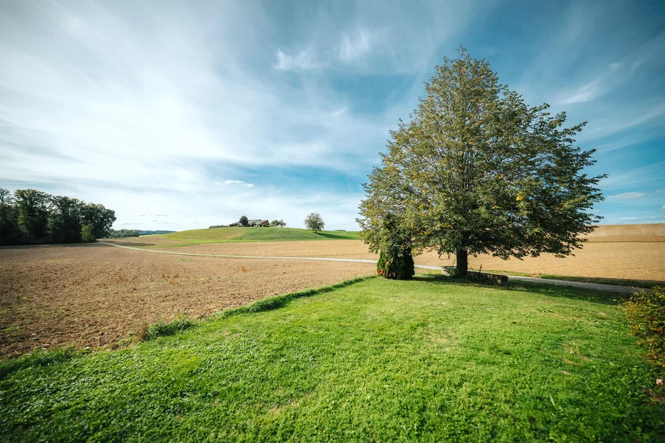 Mehr als ein Bauernhaus - Ein Leben auf dem Land – Foto 2 von 28