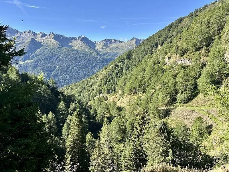 Chalet mit zwei Wohnunen an sehr ruhiger, sonniger Aussichtslage / ... – Foto 22 von 30