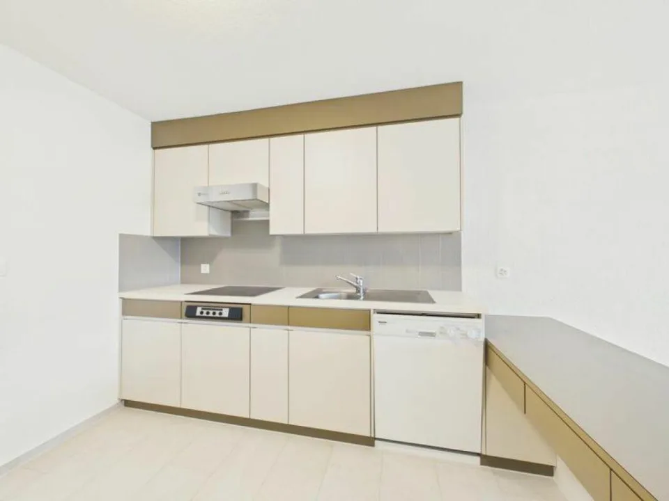 grosse 3.5 Zi-Wohnung mit Balkon – photo 2 sur 12
