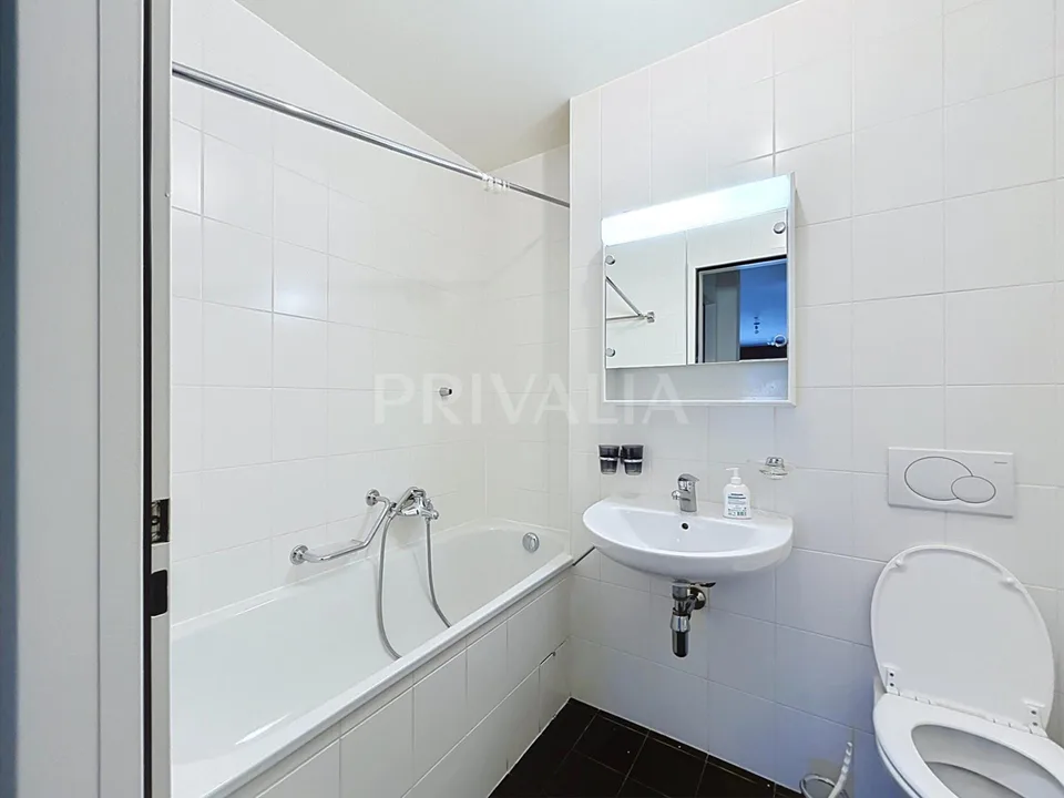 Bel appartement à proximité des Organisations Internationales – foto 6 di 7