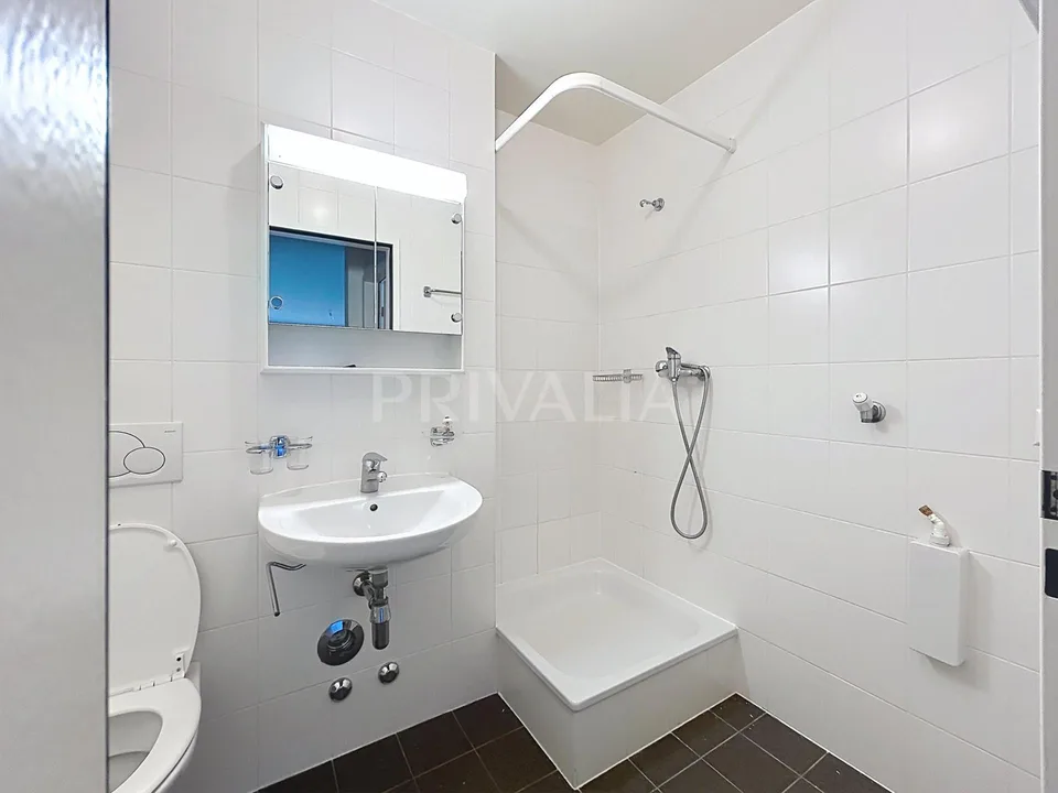 Bel appartement à proximité des Organisations Internationales – foto 4 di 7