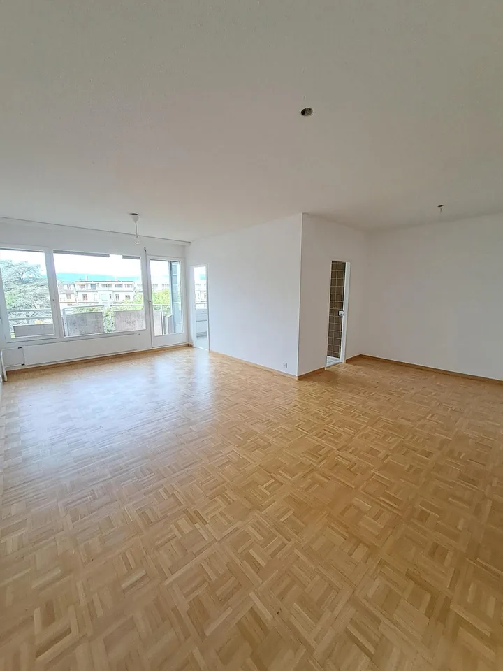 Appartamento di quattro locali situato a Champel – foto 2 di 7