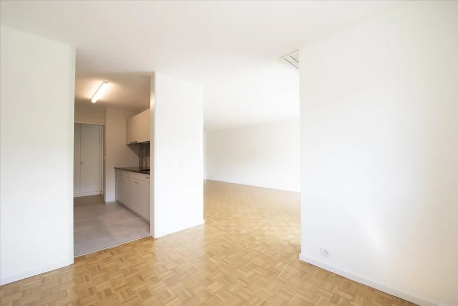 Ampio appartamento moderno in un ambiente verde – foto 3 di 9