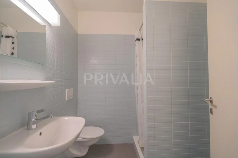 Superbe appartement traversant à quelques pas de la place des Nations – foto 6 di 9