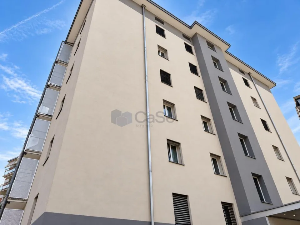 MASSAGNO - VIVRE DANS UN ESPACE AMPIEUX ET LUMINEUX 4.5 TOTALMENT RÉNOVÉ – photo 10 sur 10