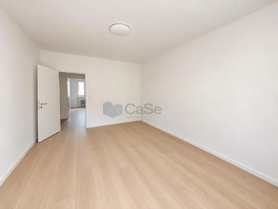 MASSAGNO - VIVRE DANS UN ESPACE AMPIEUX ET LUMINEUX 4.5 TOTALMENT RÉNOVÉ – photo 6 sur 10