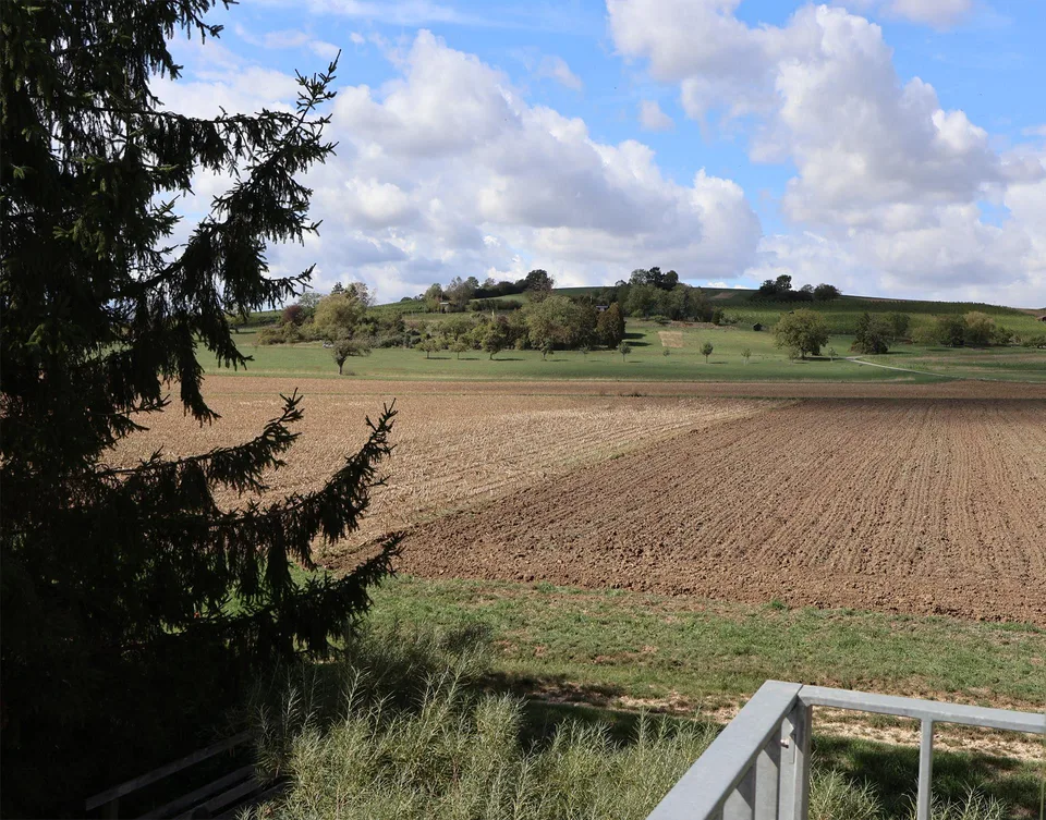 Attraktive 2.5-Zimmer-Wohnung mit Weitblick in die Weinreben – foto 15 di 15