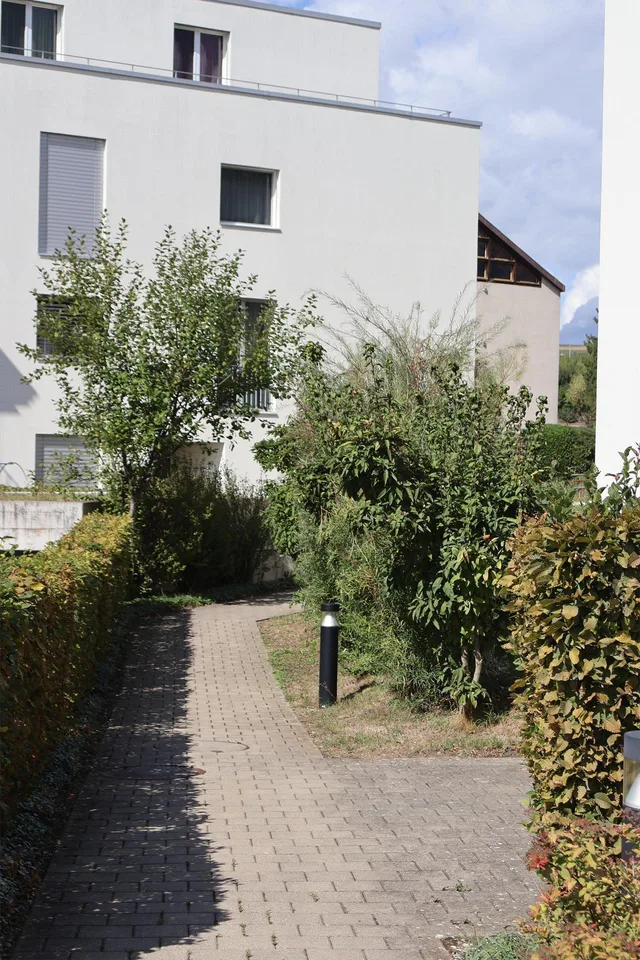 Attraktive 2.5-Zimmer-Wohnung mit Weitblick in die Weinreben – foto 6 di 15