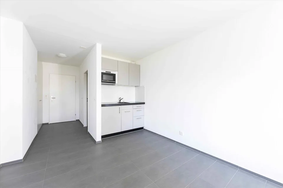Monolocale in posizione centrale cerca subaffittuario – foto 4 di 5