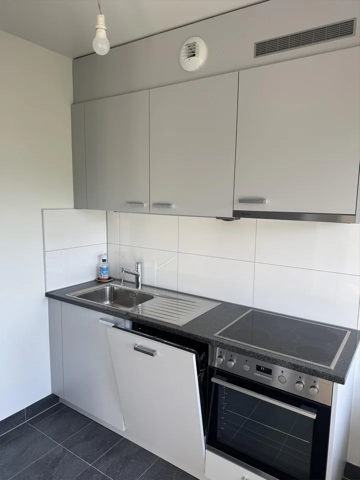 Ampio appartamento di 2 locali - 43m2 - Luminoso e ambiente verde – foto 4 di 6