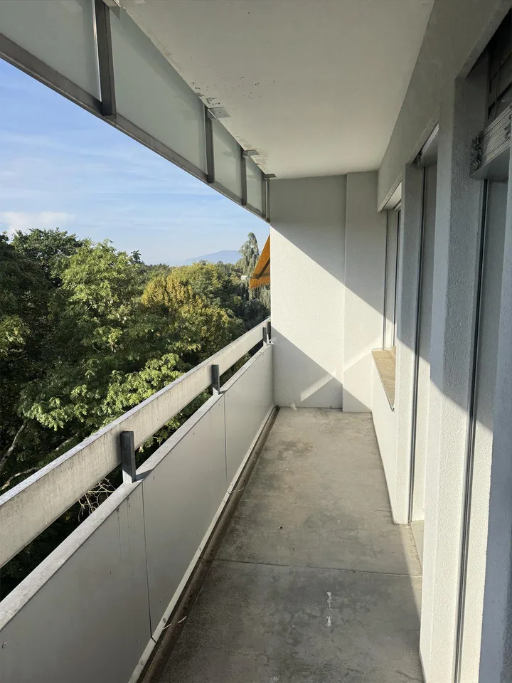 Ampio appartamento di 2 locali - 43m2 - Luminoso e ambiente verde – foto 6 di 6