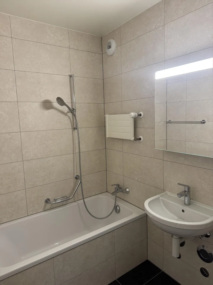 Ampio appartamento di 2 locali - 43m2 - Luminoso e ambiente verde – foto 5 di 6