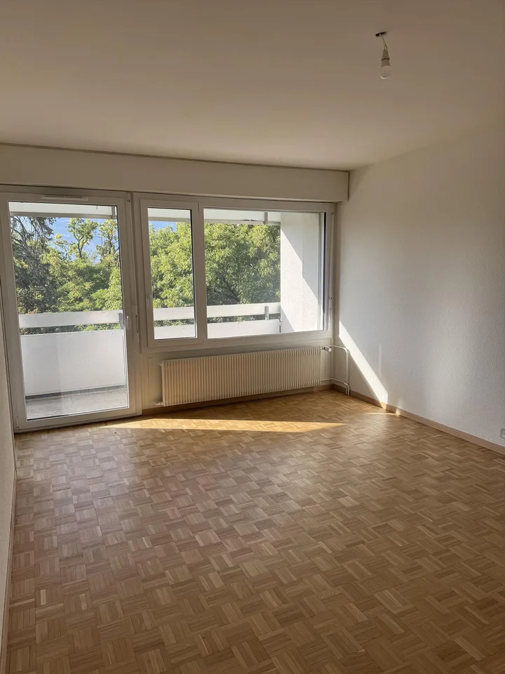 Ampio appartamento di 2 locali - 43m2 - Luminoso e ambiente verde – foto 3 di 6