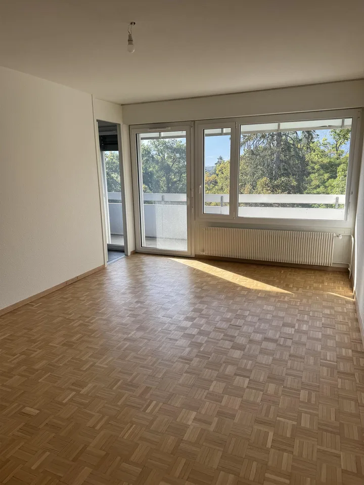 Ampio appartamento di 2 locali - 43m2 - Luminoso e ambiente verde – foto 2 di 6