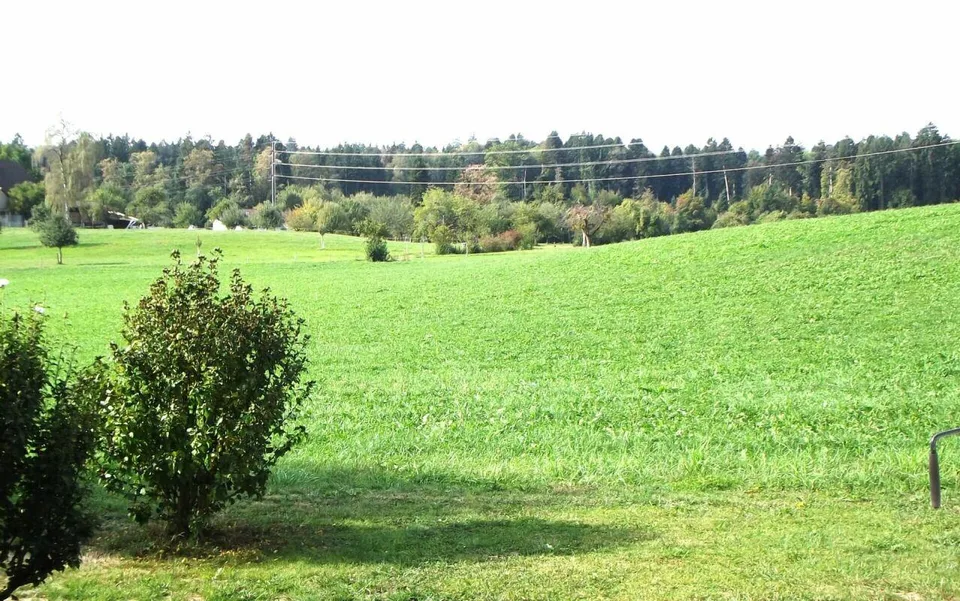 Naturnahe Gartenwohnung – Foto 3 von 9