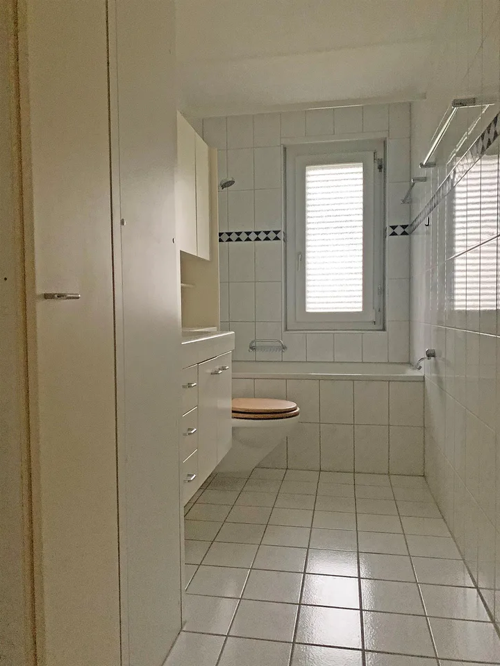 Appartamento monolocale accogliente vicino al centro di Oerlikon – foto 3 di 5