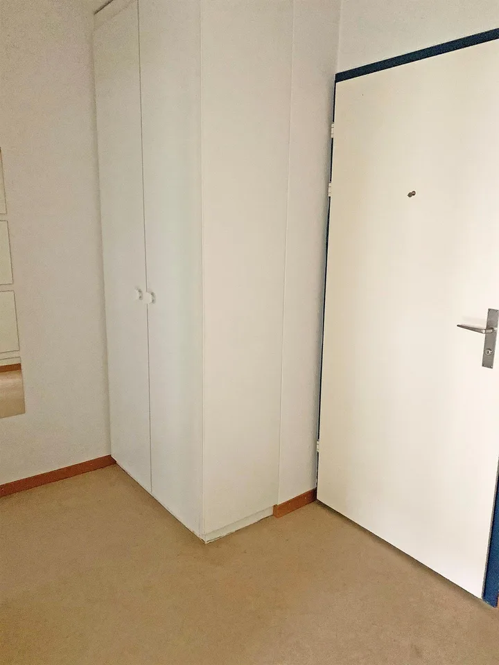 Appartamento monolocale accogliente vicino al centro di Oerlikon – foto 4 di 5