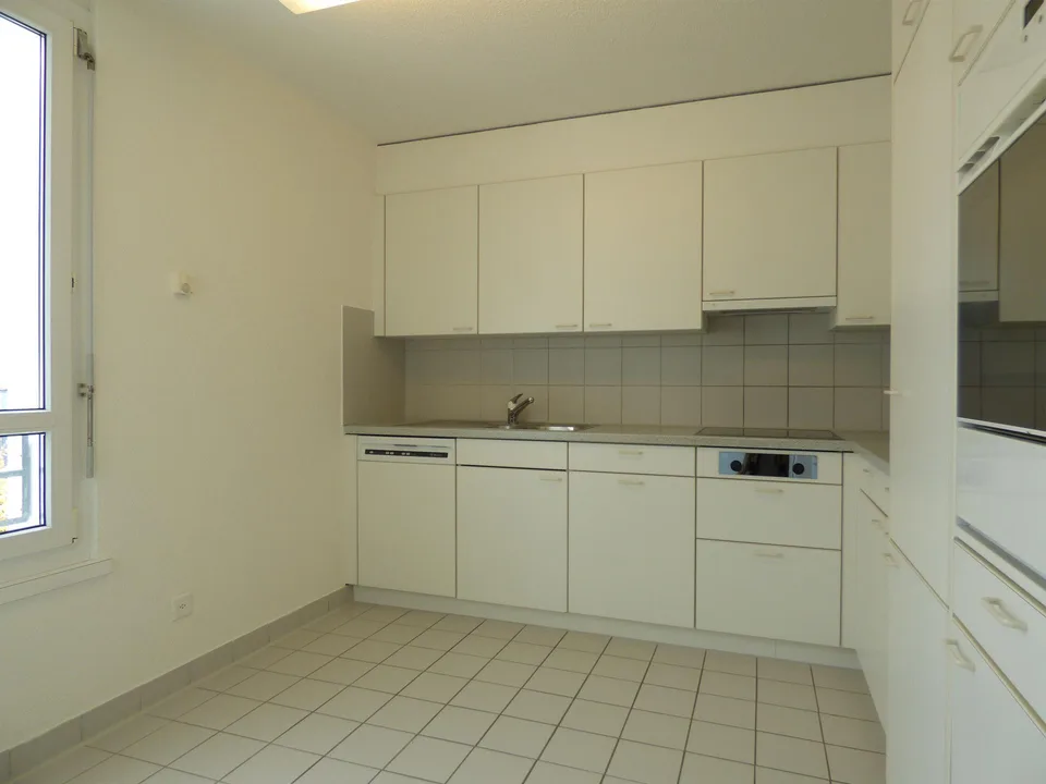 Collina soleggiata di Zurigo-Leimbach – foto 5 di 7