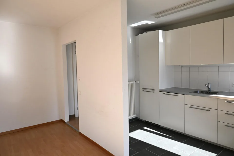Wohnen im Trendquartier Luegisland – Foto 4 von 9