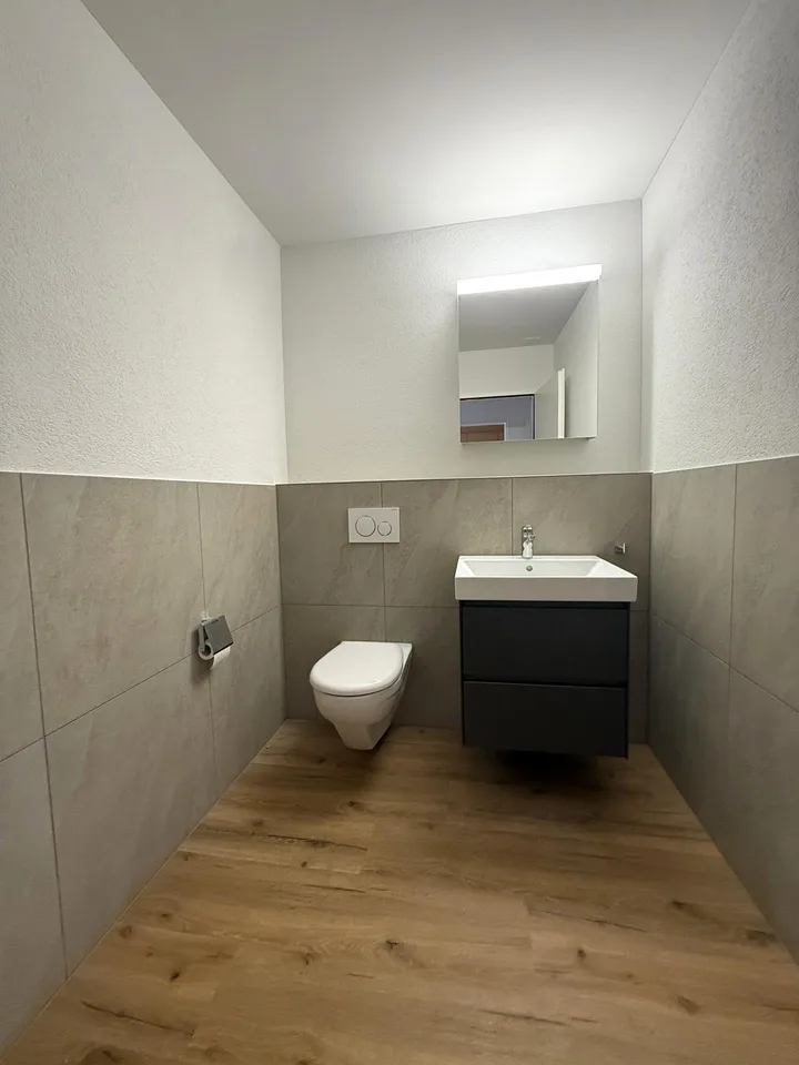 Casa familiare doppia di 5,5 locali ristrutturata in una zona tranquilla – foto 8 di 17
