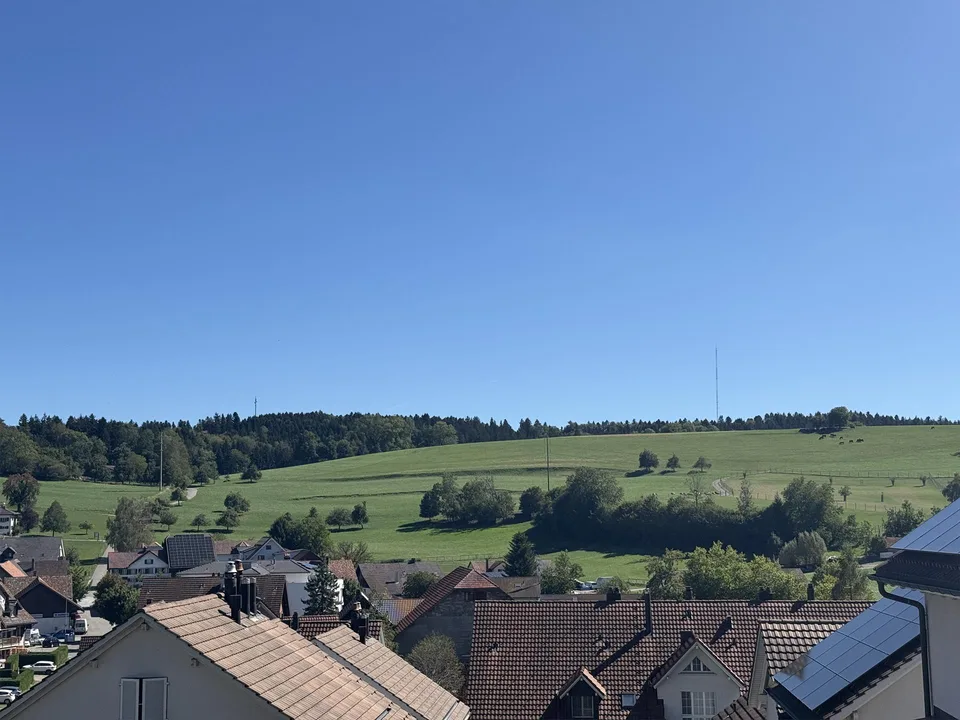 Casa familiare doppia di 5,5 locali ristrutturata in una zona tranquilla – foto 13 di 17