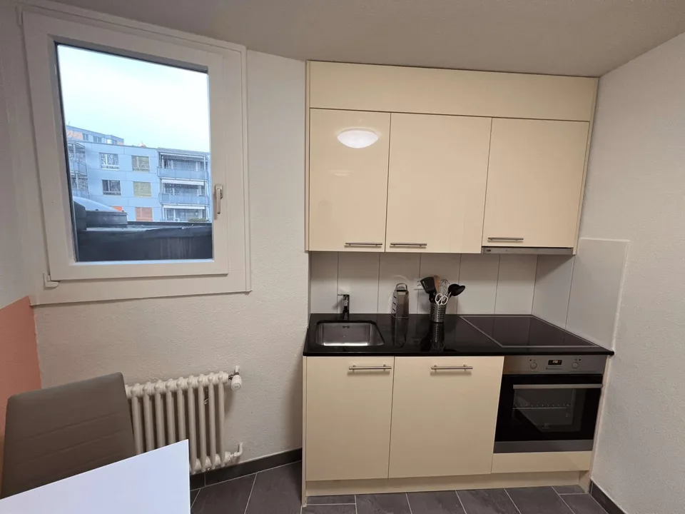Stiglenstrasse 63, 8052 Zürich – Foto 7 von 7