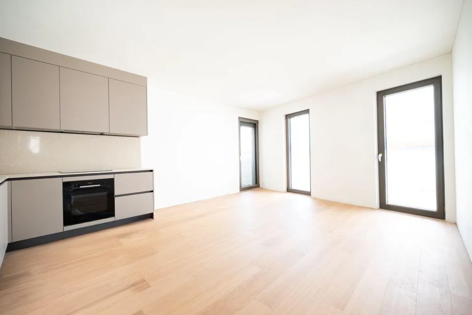 Palazzo Alby – Appartamento di 2,5 locali in affitto – foto 3 di 6