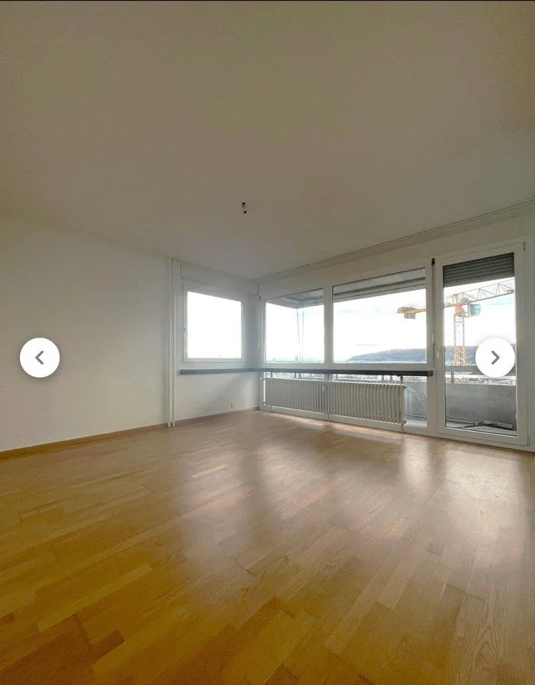 Vivere a Pratteln! – foto 2 di 5