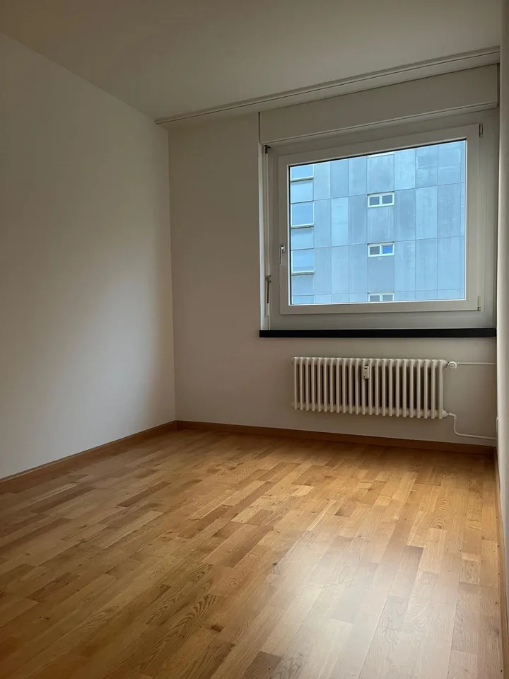 Vivere a Pratteln! – foto 5 di 5