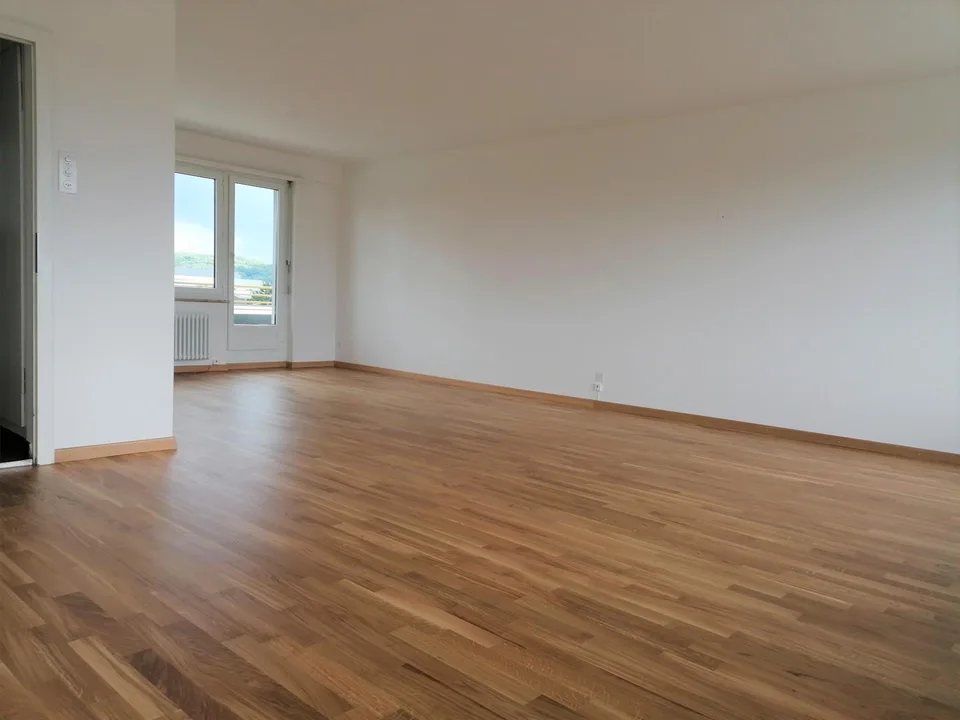 Vivere con una vista incredibile su Basel! – foto 3 di 9