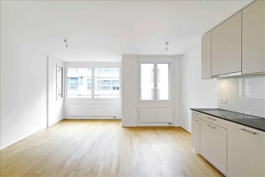La tua nuova casa vicino a Messe- e Claraplatz – foto 4 di 11