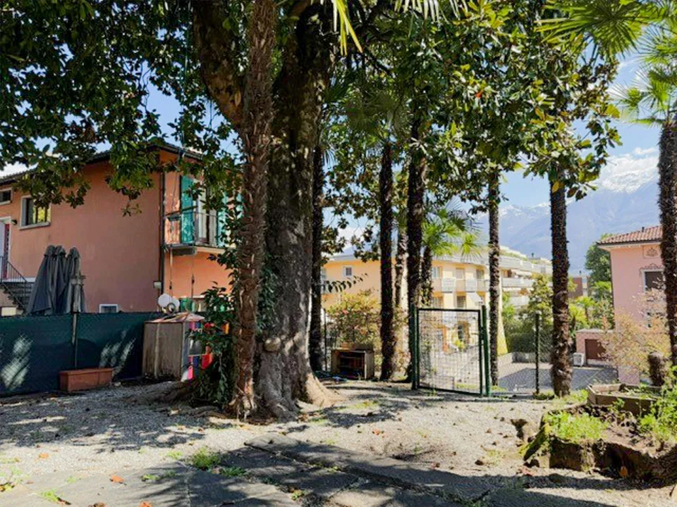 Ascona - 4 locali con giardino (ref. 19-3) – Foto 17 von 20