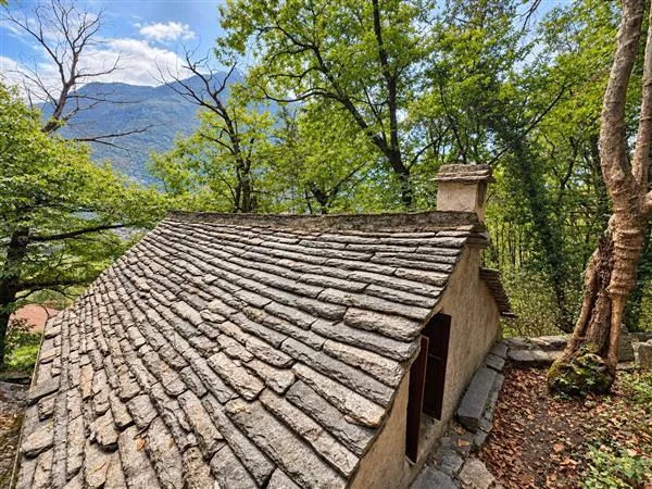 SEMIONE: Rustico 2.5 Locali – Foto 3 von 13