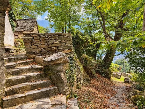 SEMIONE: Rustico 2.5 Locali – Foto 4 von 13