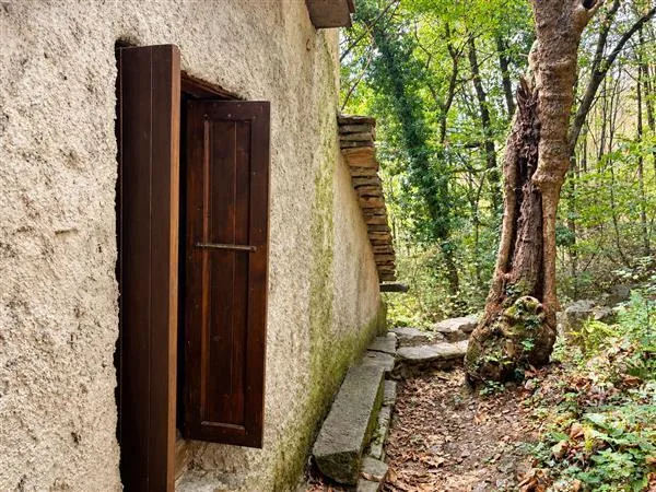 SEMIONE: Rustico 2.5 Locali – Foto 11 von 13