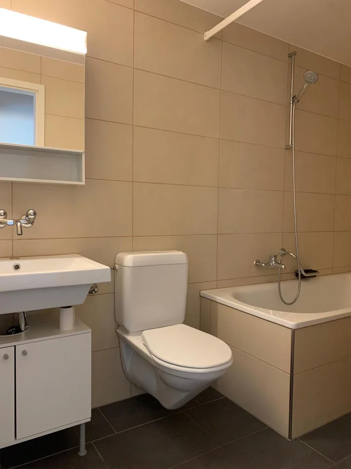 Helle 3-Zimmer-Wohnung mit sonnigem Sitzplatz – foto 4 di 9