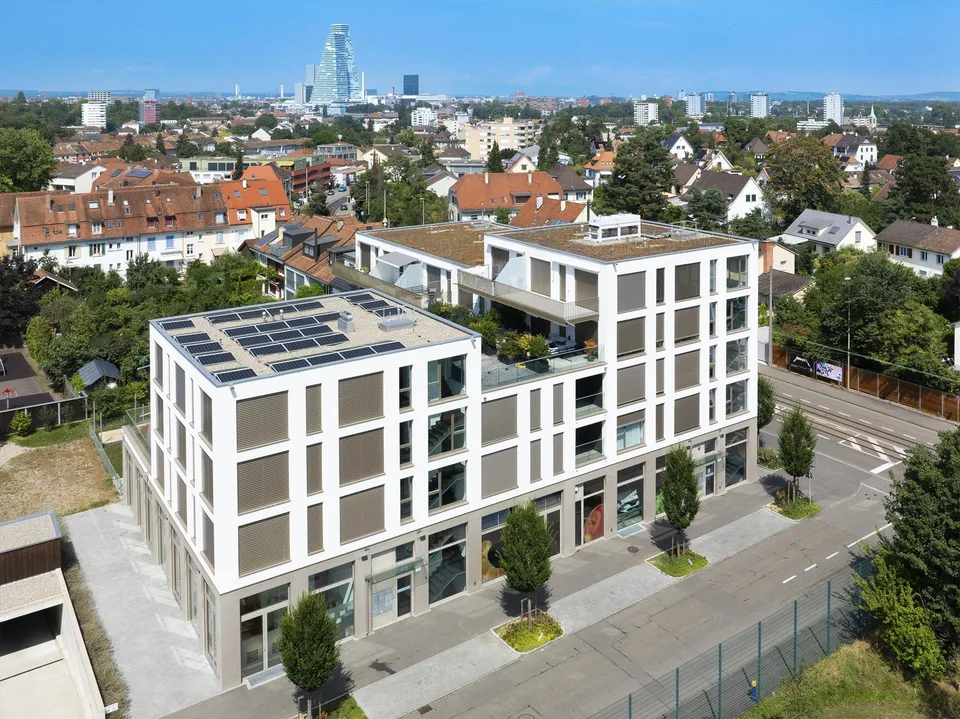 Appartamento moderno a Birsfelden – foto 2 di 12