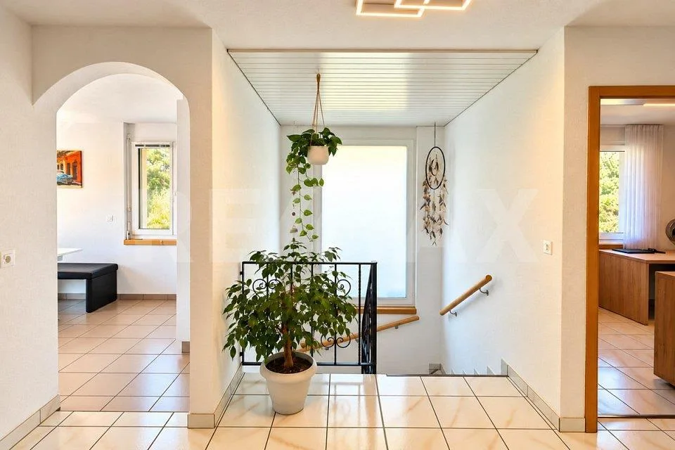 Casa unifamiliare indipendente con giardino e possibilità polivalenti a Leimbach AG – foto 9 di 27