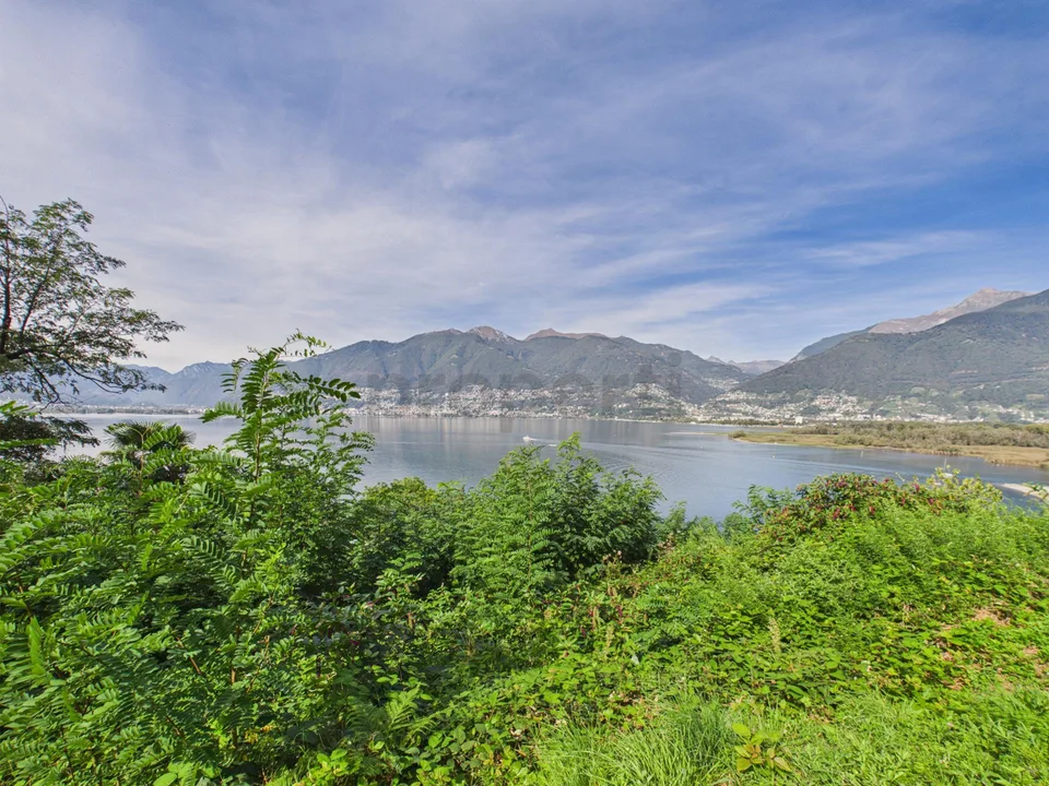 Terreno edificabile con vista panoramica sul Lago Maggiore e sulle ... – Foto 8 von 19