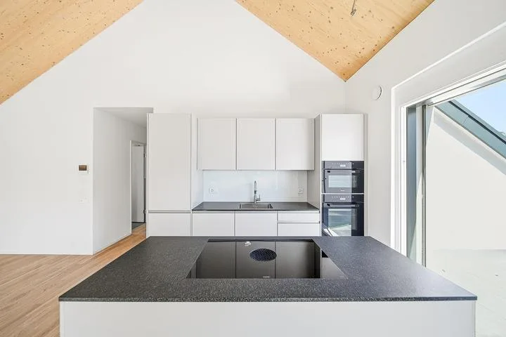 APPARTEMENT NEUF SOUS LES TOITS AVEC VUE PANORAMIQUE SUR LES ALPES – photo 3 sur 8