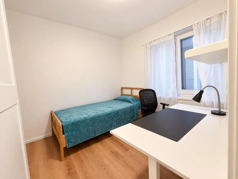 MASSAGNO - 4.5 RENOVIERTE WOHNEINHEIT - SCHLÜSSEL ÜBERGABE – Foto 13 von 18